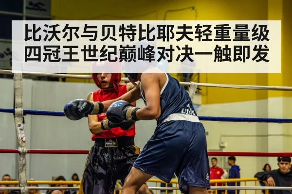 boxer in ring